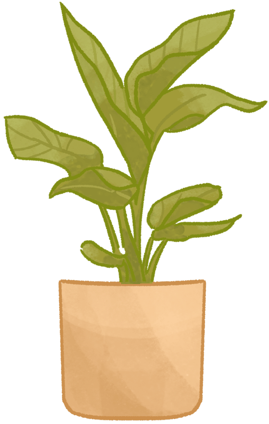 Plant 1